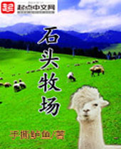 ʯͷ����TXTȫ������