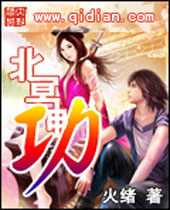 北冥神功TXT全集封面