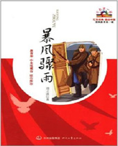 暴风骤雨TXT全集封面