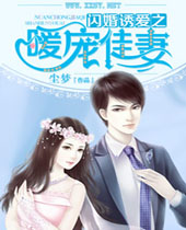 闪婚诱爱之暖宠佳妻TXT全集封面