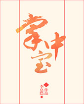 掌中宝TXT全集封面