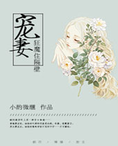 宠妻狂魔住隔壁TXT全集封面