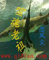 �ɻ�����TXTȫ������