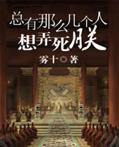 总有那么几个人想弄死朕TXT全集封面