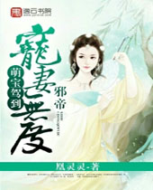 �ȱ��ݵ�а�۳����޶�TXTȫ������