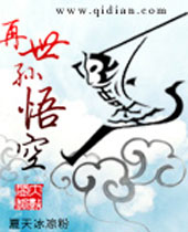 再世孙悟空TXT全集封面