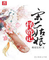 宋二姑娘择婿记TXT全集封面