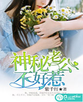 神秘老公不好惹TXT全集封面